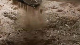 Horse breeder receives a raging boner